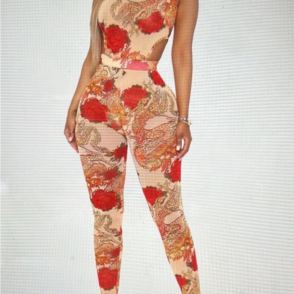 FashionNova dragon & roses mesh jumpsuit